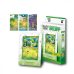Pokémon TCG: 151 First Partner Display - Bulbasaur - (Simplified Chinese)